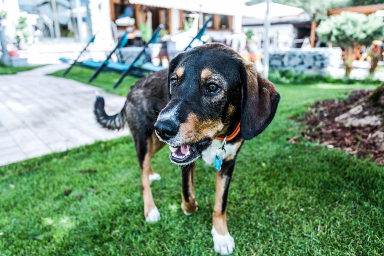 Alpenhotel Tyrol - B&B Konzepthotel - Adults Only ペルティサウ エクステリア 写真