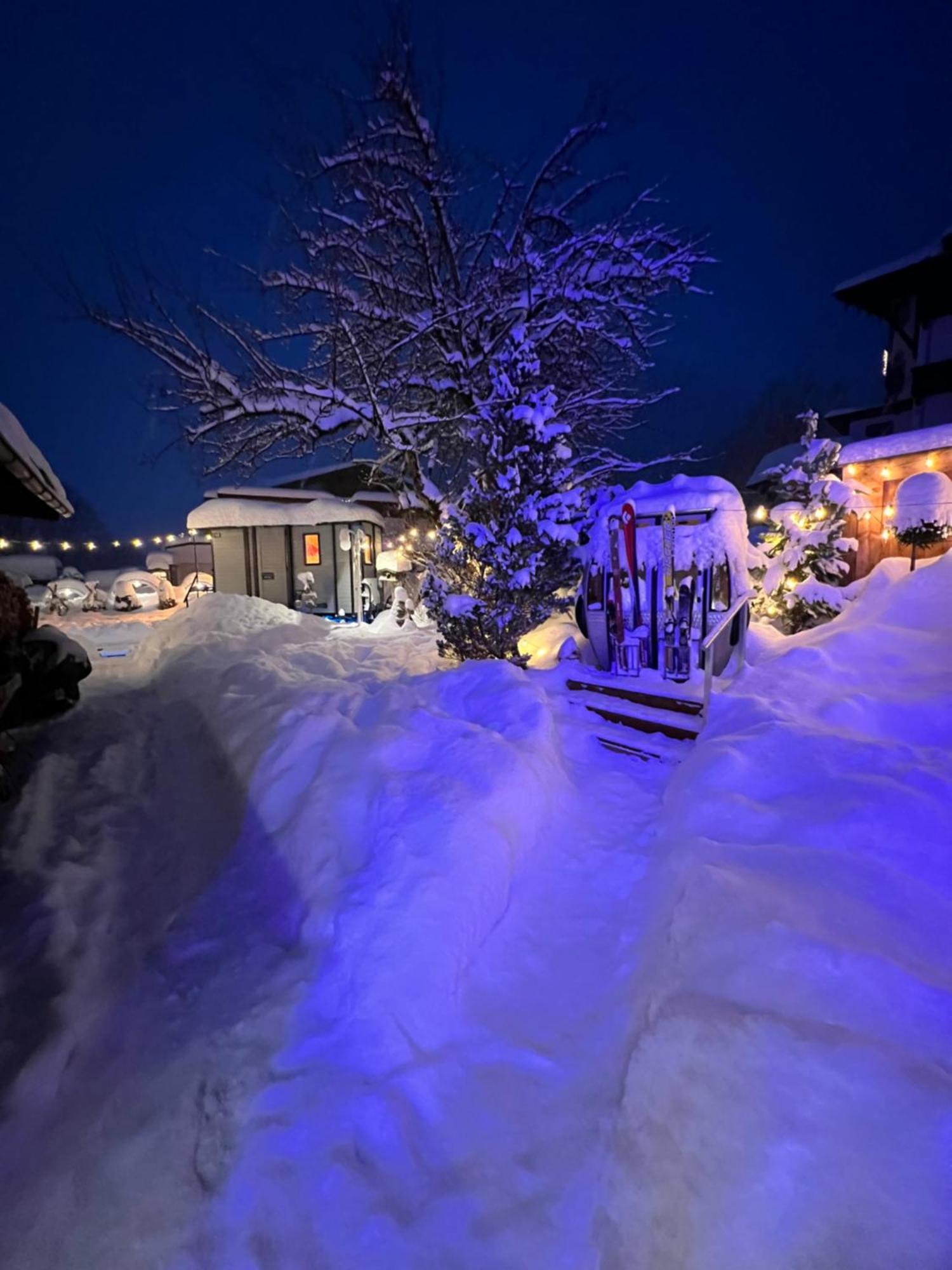 Alpenhotel Tyrol - B&B Konzepthotel - Adults Only ペルティサウ エクステリア 写真